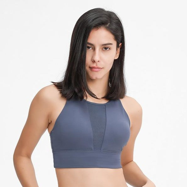 Sports Bra with Front Sheer Panel – Steezy